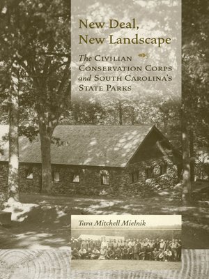 cover image of New Deal, New Landscape